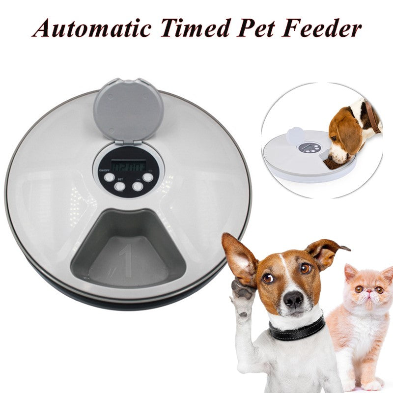 Automatic Pet Feeder = Electric Dry Food Dispenser - Can Program to 6 meals-Cat Food Dish-Life Guidance Discoveries
