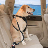 Dog Seat Belt-Doggie Seat Belt-Life Guidance Discoveries