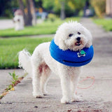 Soft Support Surgical Collar-Doggie Recovery Supplies-Life Guidance Discoveries