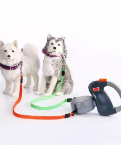 Dog Collars - 2 in 1 Dog Leash-2 in 1 Dog Leash-Life Guidance Discoveries