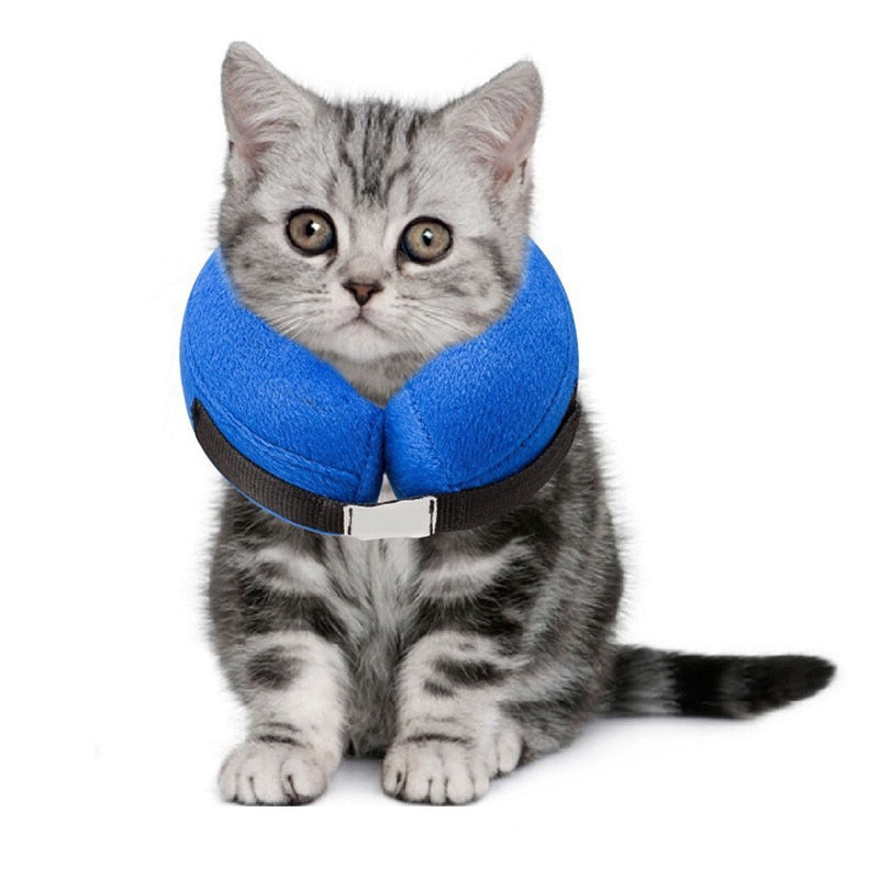 Soft Support Surgical Collar-Doggie Recovery Supplies-Life Guidance Discoveries