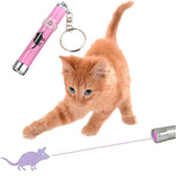 Portable Funny Cat Laser LED Pointer-Cat Toy-Life Guidance Discoveries