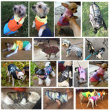 Warm Pet Clothing for Dogs-Dog Jackets-Life Guidance Discoveries