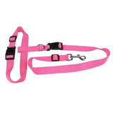 Running Pull Belt Traction Dog Rope Leash-Dog Leash for Running-Life Guidance Discoveries