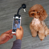 Selfie Stick for Pet Dog N Cat-Cat Selfie Stick-Life Guidance Discoveries