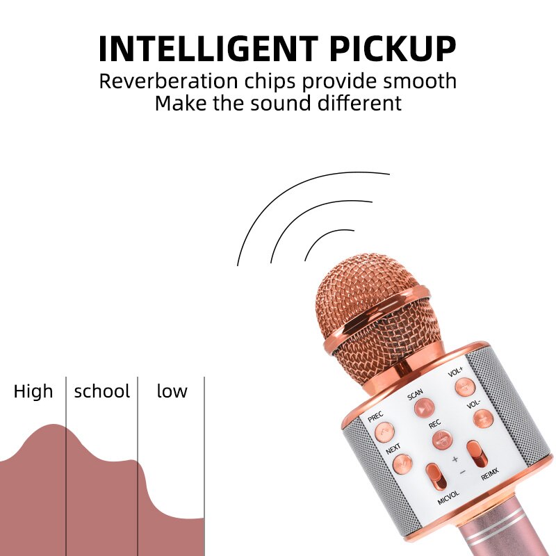 Bluetooth Karaoke Wireless Microphone-Life Guidance Discoveries