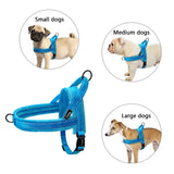 Nylon Reflective Pet Dog Harnesses-Dog Harness-Life Guidance Discoveries