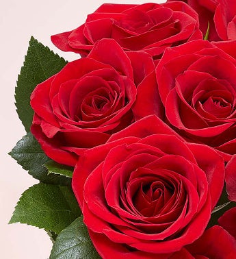 1-800-Flowers Two Dozen Red Roses with Red Vase-Flowers-Life Guidance Discoveries