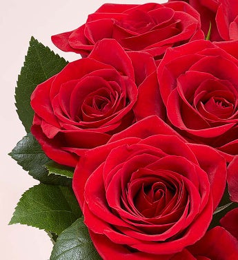 1-800-Flowers Two Dozen Red Roses with Red Vase – Life Guidance Discoveries