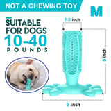 Meat-Flavored Dog Toothbrush-Dog Toothbrush-Life Guidance Discoveries