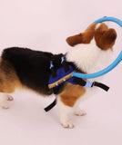 Blind Dog Bumper Collar Harness-Doggie Recovery Supplies-Life Guidance Discoveries