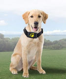GPS Dog Collar-GPS Dog Collar-Life Guidance Discoveries
