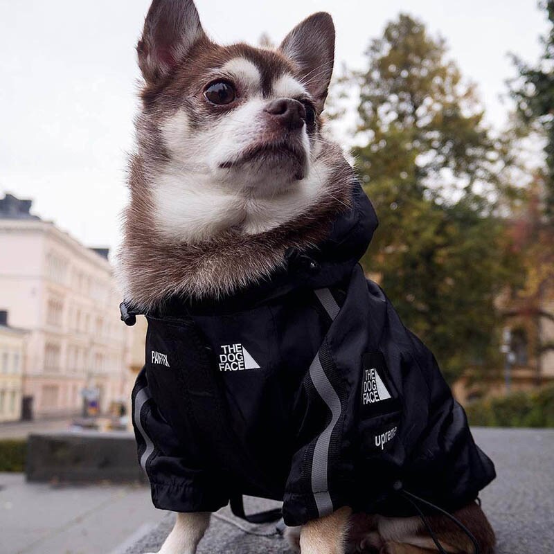 Dog Windbreaker- Reflective-Doggie Windbreaker-Life Guidance Discoveries