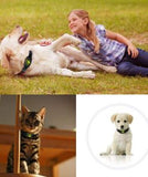GPS Dog Collar-GPS Dog Collar-Life Guidance Discoveries