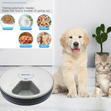 Automatic Pet Feeder = Electric Dry Food Dispenser - Can Program to 6 meals-Cat Food Dish-Life Guidance Discoveries