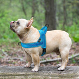 Nylon Reflective Pet Dog Harnesses-Dog Harness-Life Guidance Discoveries