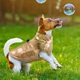Waterproof Jacket for Pup-Glamour Doggie Jacket-Life Guidance Discoveries