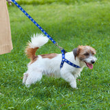 Paw Print Harness-Paw Print Dog Harness-Life Guidance Discoveries