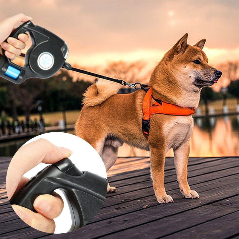 LED Flashlight Extendable & Retractable Dog Leash-LED Leash-Life Guidance Discoveries
