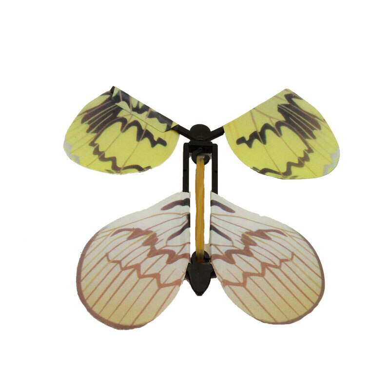 Yellow, Tan sort of striped, streaked pattern Butterfly