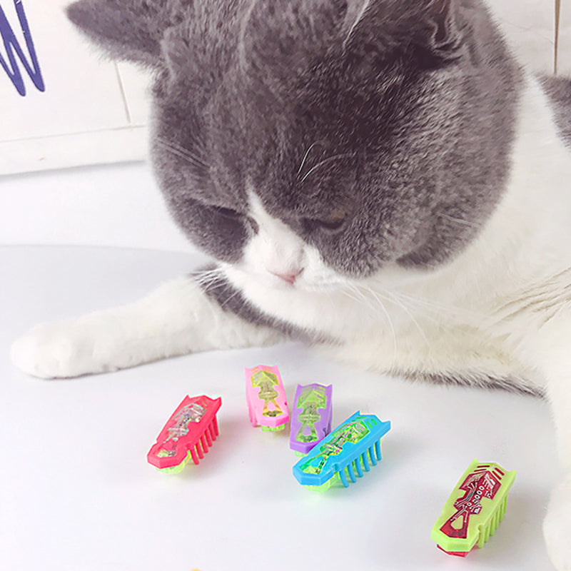 Robotic Bug Toy for Cats-Cat Toy-Life Guidance Discoveries