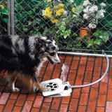 Outdoor Dog Water Fountain-Doggie Water Fountain-Life Guidance Discoveries