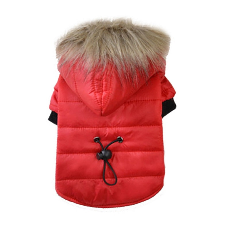 Warm Winter Small Dog Jackets-Dog Winter Jacket-Life Guidance Discoveries