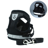 High Quality Pet Harness + Leash Set-Life Guidance Discoveries