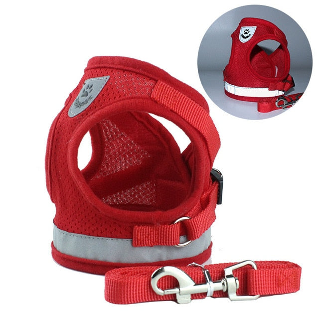High Quality Pet Harness + Leash Set-Life Guidance Discoveries