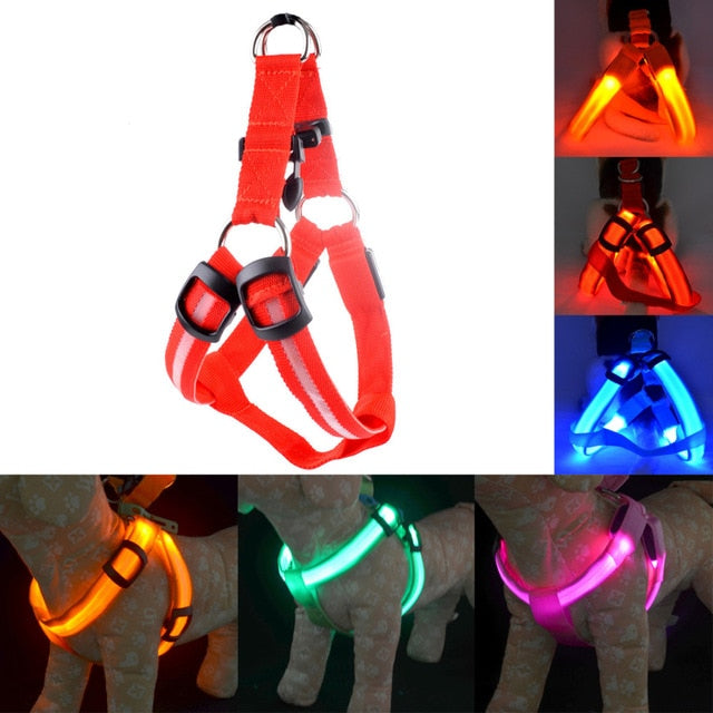 Rechargeable Pet LED Flashing Light Harness-Life Guidance Discoveries