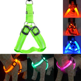 Rechargeable Pet LED Flashing Light Harness-Life Guidance Discoveries