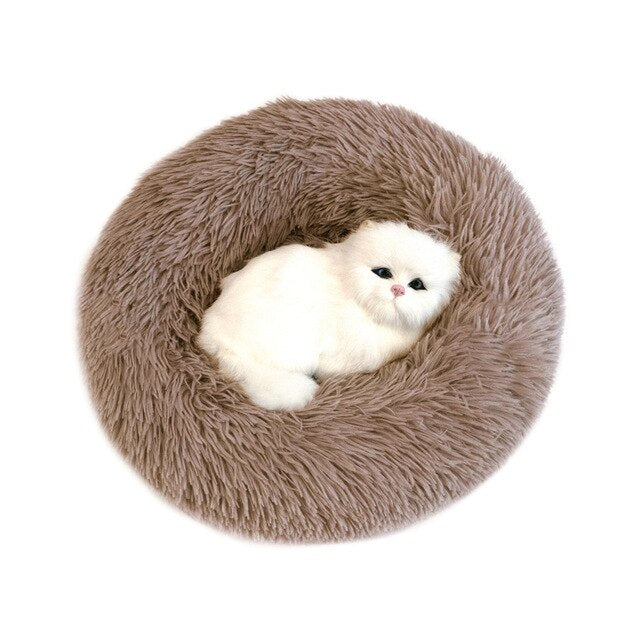 Cuddly Cushion Bed for Doggies and Kitty Cats- MEOW! Woof!-Pets ONLY-Life Guidance Discoveries