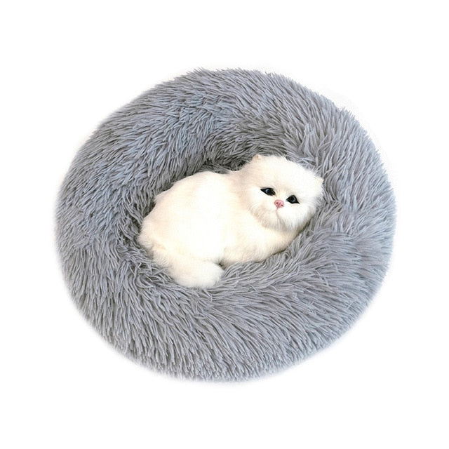 Cuddly Cushion Bed for Doggies and Kitty Cats- MEOW! Woof!-Pets ONLY-Life Guidance Discoveries